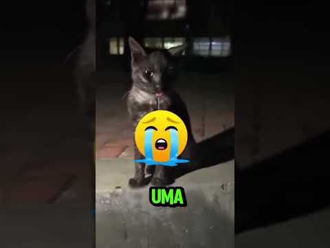 🚨 Ele abriu o casaco e deixou todo mundo sem palavras! 😱🔥#shorts