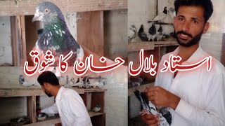 Shok by Ustad Bilal Khan