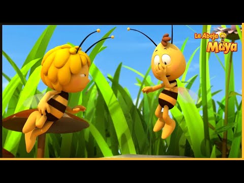 Una abejita aseada | La Abeja Maya 🐝 35' Compilación