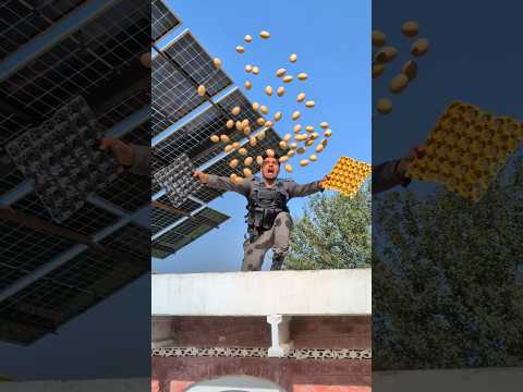 Spider Men Vs Eggs 😱🥚 #shorts #trending #viralvideo