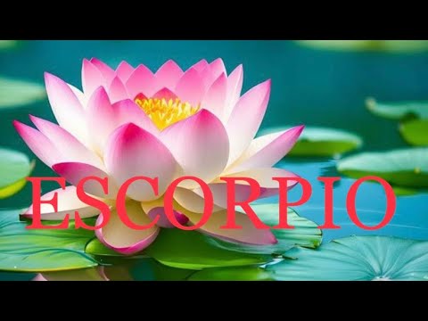 ESCORPIO♏️FEBRERO🍓QUE LOCURA DE MES TE ESPERA😅SE MUERE DE AMOR!!😍🔥 #escorpio #tarot #amor