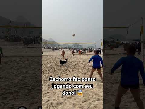 Cachorro viraliza jogando no Rio de Janeiro! #foryou #futebol cachorros #viralvideo