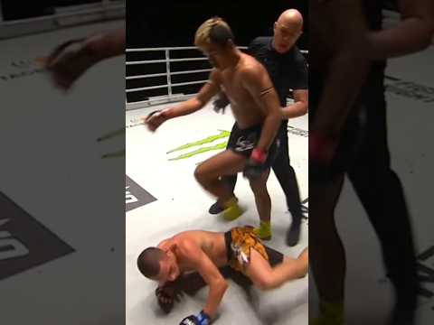 Brutal Knockouts #mma #ufc #fighting #mmafighter #knockouts #mmanews #boxing #fights #fast #punch