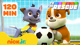 Patrulha Canina | Trabalho em equipe esportivo em ação! 🏃‍♀️ 120 minutos | Nick Jr.
