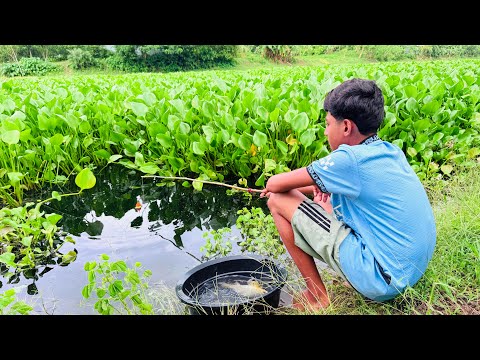 Nicely Unbelievable Fishing Technique || Asian Boy Hunting Fish By Fish Hook From River || (Part-02)