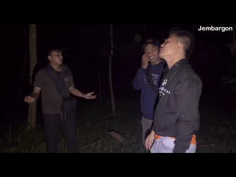 ALHAMDULILLAH KEJAYAAN BANTENG MALANG