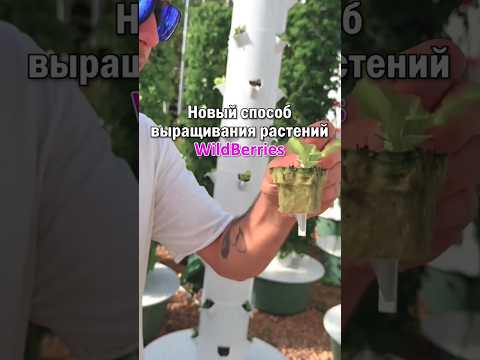Подборка WB #wildberries #товарыдлядома #находки