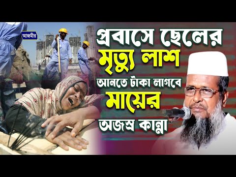 প্রবাসে ছেলের মৃত্যু লা/শ আনতে টাকা লাগবে তাই মায়ের কান্না । তোফাজ্জল হোসেন ভৈরবী  | Bangla Waz |