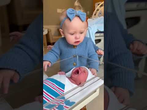 Twin Toddlers Walk In… Double Surprise Hits 😂👶👶#TwinToddlers #TwinBabyGirls #DoubleTrouble #twin