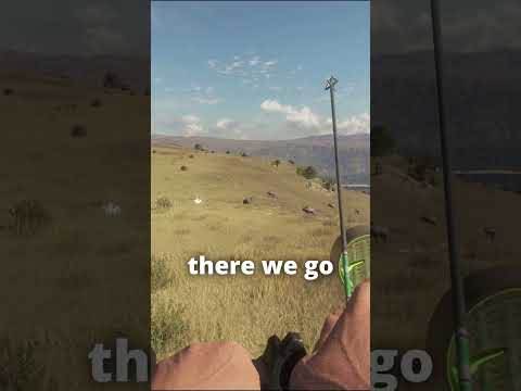 That second shot went DEEP ๐น๐๐ | theHunter: Call of the wild #shorts