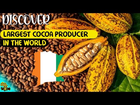 YouTube video thumbnail: Discover Ivory Coast, Largest Cocoa Producer in the World