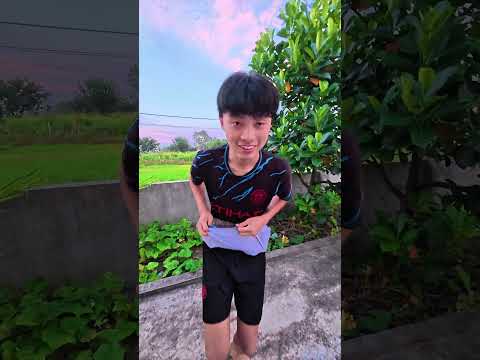 Cậu bé bắt trộm chó 🐕 hài hước ! #shorts