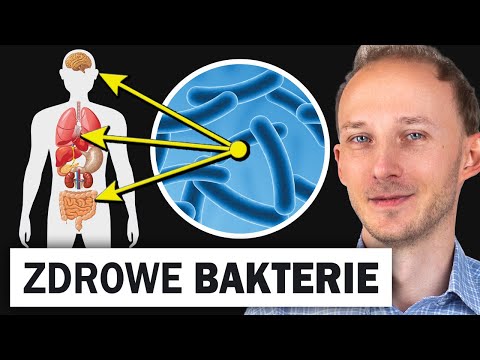 Bakterie, które ratują zdrowie (trawienie, depresja, wątroba)