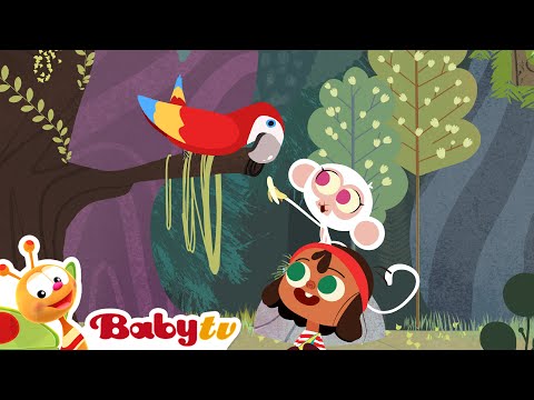 Piraten avontuur! Betoverende zoektocht 💗 | Raadsels en puzzels voor kinderen | Tekenfilms @BabyTVNL