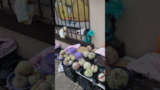 Este es el precio de las Anonas en el Centro de San Miguel El Salvador
