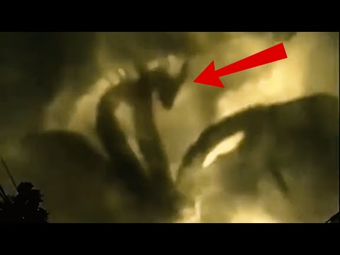 Top 5 Amazing National Animals You Never Knew Existed‼️🐾🌍