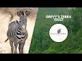 Gravy Zebra Conservation Knowledge Assessment