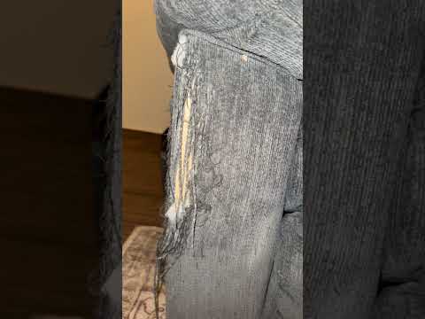 #ببغاء #ببغاء_يتكلم #يوميات #اكسبلور