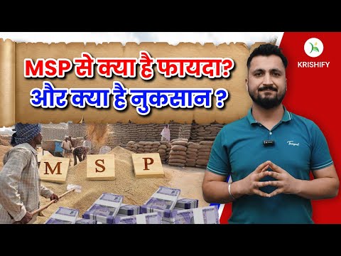 MSP से किसानों को कितना फायदा? सरकार का खर्च और MSP का पूरा गणित #msp