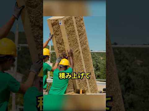 わらで建てられた高級住宅