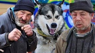 БОМЖИ УКРАЛИ СОБАКУ