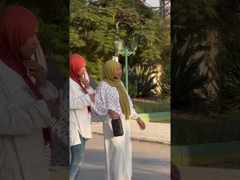 إضحك مع القطة😂😂😂