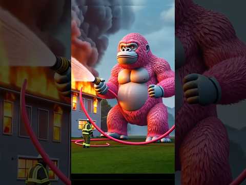 Kingkong memadamkan api #cat #funny #cute #cutecat #catlover #cats #cartoon #kucing