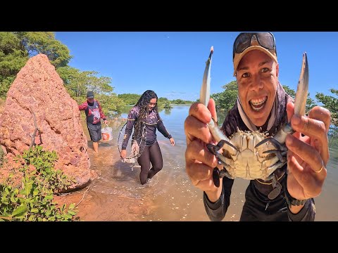 CAÇADA DE SIRI - PESCAMOS E PREPARAMOS UMA SIRIZADA NA BEIRA PRAIA!