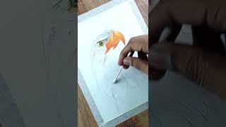 Oil Pastel Drawing Realistic Bird #shorts #drawing #youtubeshorts