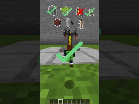 Minecraft Will I Fit? はいよろこんで