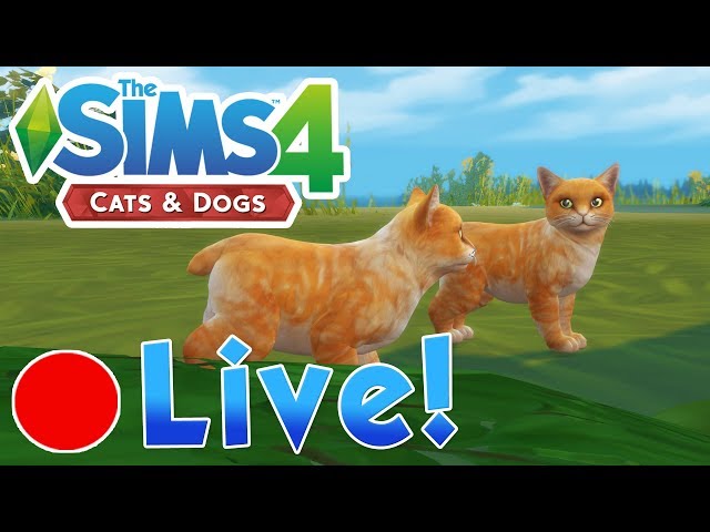 Sims 4: Cats & Dogs • Our Cheesey Kittens & Emergency Vet Visit!! • Finished Livestream!