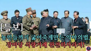 [특보]농민들까지 굶어죽게만든 악마의법,장마당 식량거래 완전히사라져!