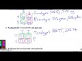 Punnett Square Practice Problems Challenge