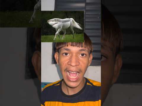 É ISSO QUE ACONTECE QUANDO ANIMAIS OPOSTOS SE ACASALAM PARTE 3