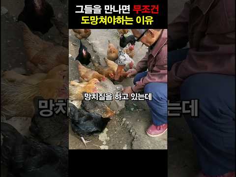 만나면 무조건 도망쳐야하는 이유