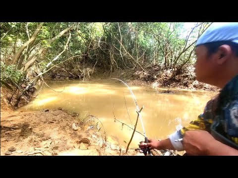 Mancing Ikan Baung Terganas..Cuma di Parit Kecil tapi ukuran Ikannya wowow...Di luar Nurul..