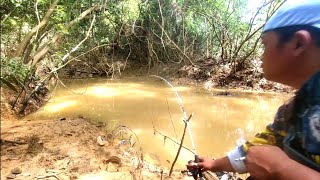 Mancing Ikan Baung Terganas..Cuma di Parit Kecil tapi ukuran Ikannya wowow...Di luar Nurul..