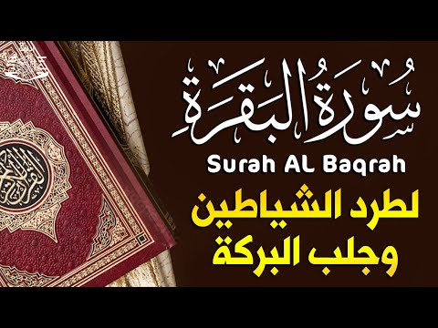 سورة البقرة كاملة لطرد الشياطين من منزلك وجلب البركه باذن الله 💚 surat albaqra