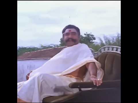 Nattamai Scene. #nattamai #sarathkumar #sarathkumarmovie #tamil #tamilshorts #tamilmovie #massscenes