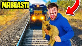 6 YouTubers Who SAVED ANIMALS LIVES! (MrBeast)