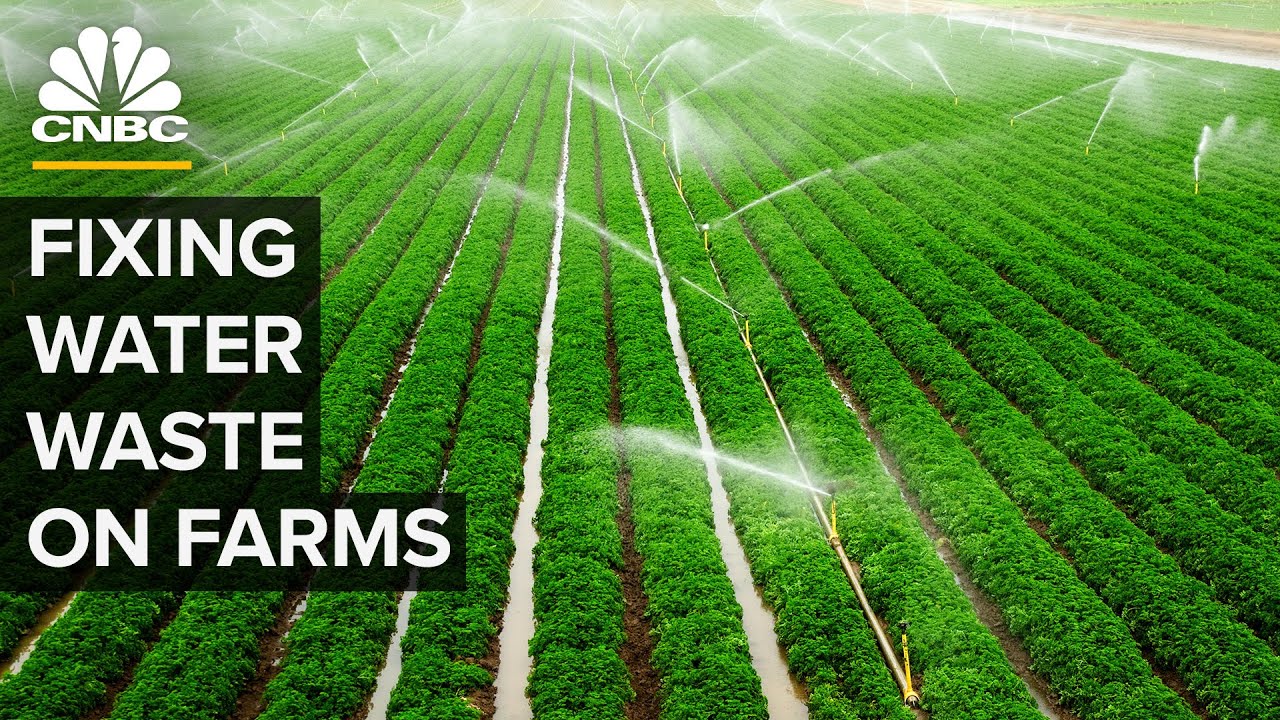 U.S. Farms Waste a Lot of Water — But This Tech Could Help