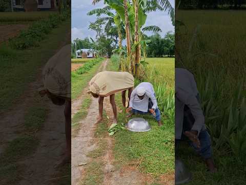8 July #indianfunny #vairalshort