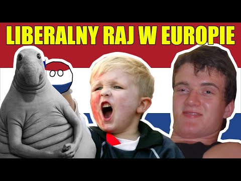 Historia Memów - HOLANDIA