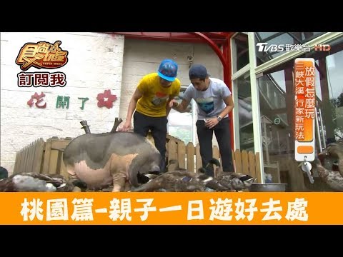 【桃園】一日遊親子放假好去處！花開了休閒農場 食尚玩家