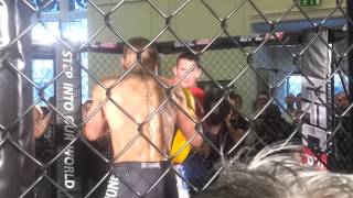 Conor McGregor UFC Dublin Open Workout Part 4