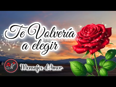 TE VOLVERÍA A ELEGIR ❤️ Mensajes de amor bonitos y cortos para dedicar Poemas y Frases de amor