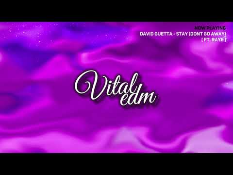 David Guetta - Stay (Dont go away) (feat. Raye)