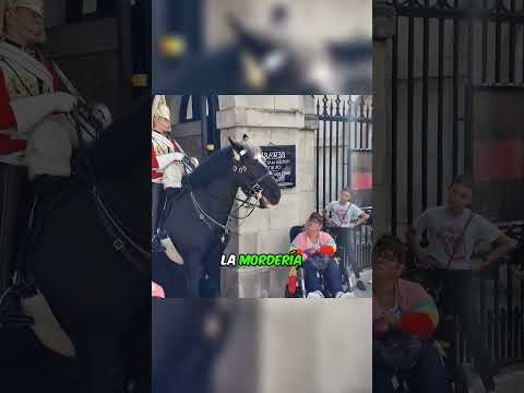 Este caballo hace ALGO MAGNIFICO?❤️