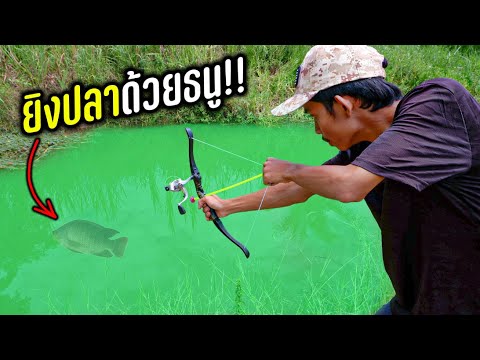 ยิงปลาด้วย ธนูของเล่น!! จะได้ปลามั๊ย?