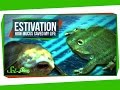 Estivation Adaptations in Amphibians